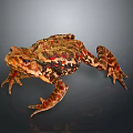 Brown Toad With Rough Skin And Red Spots On Dark Gray Background 3d model