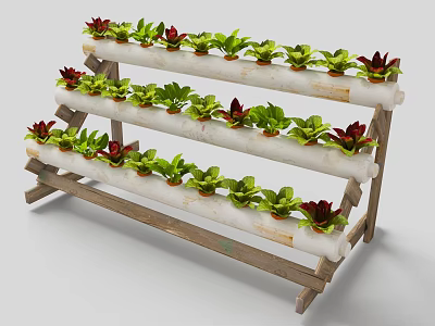Three Tiered Wooden Hydroponic Vegetable Rack With White Pipes And Green Red Plants 3d model