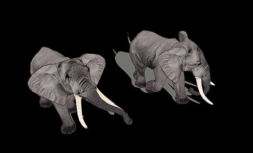 The Modern Elephant 3d model