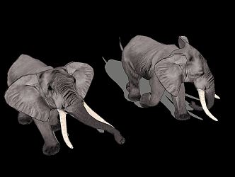 The Modern Elephant 3d model