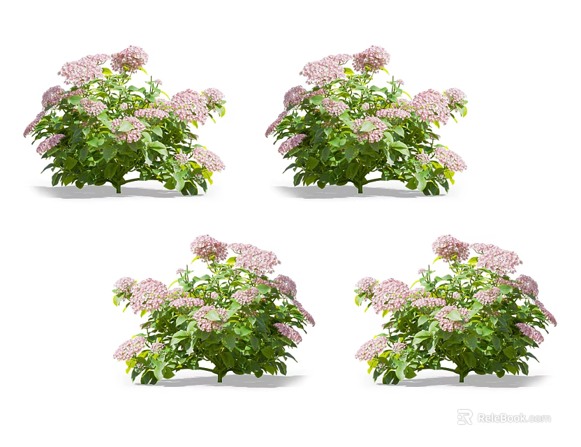 Vibrant Pink Flower Plants With Lush Green Leaves In Decorative Potted Garden 3d model 