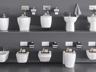 Modern toilet seat mop pool combination 3d model