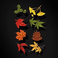 Colorful Autumn Leaves And Pine Cones With Various Shapes And Colors