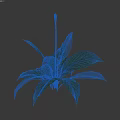 Decorative Indoor Green Plant With Large Dark Green Leaves And Yellow Flower