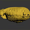 Golden Snail With Ornate Spiral Shell And Lustrous Surface Design