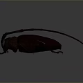 Brown Longhorn Beetle With Extended Antennae And Detailed Exoskeleton On Gray Background