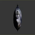 Whole Fresh Fish with Silver Pink Body on Grey Background and Clear Reflection
