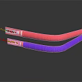 Organ and Hair Structure Models Featuring Red and Purple Tubular Components