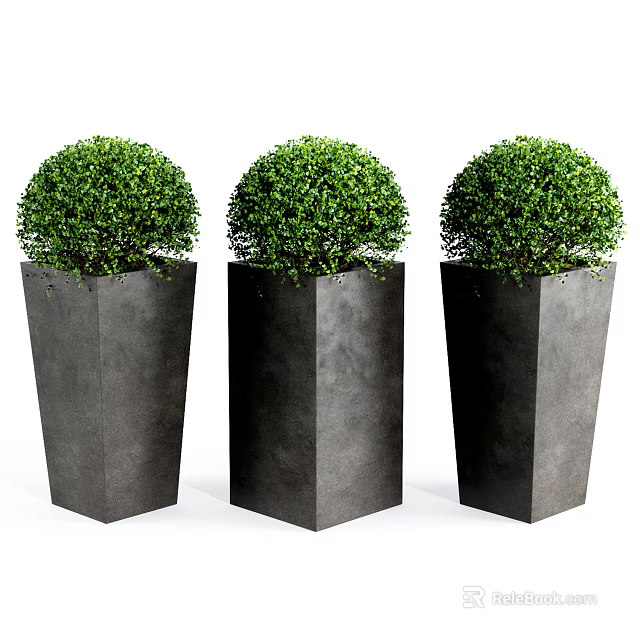 Three Decorative Black Hexagonal Planters With Round Green Potted Bonsai Shrubs 3d model