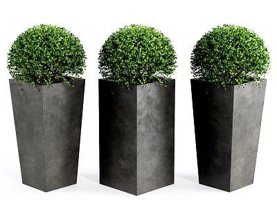 Three Decorative Black Hexagonal Planters With Round Green Potted Bonsai Shrubs 3d model