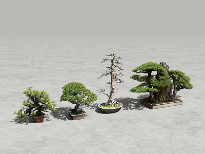 Bonsai Plants Collection With Different Miniature Tree Styles And Decorative Designs 3d model