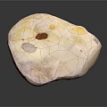 Natural Speckled Stone With Yellow Brown White Tones And Textured Surface