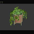 Decorative Indoor Green Plant with White Spotted Leaves in Pink Pot on Wooden Stand