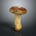Detailed Organ Structure and Hair Like Surface Texture of Fresh Mushroom on Gray Background
