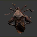 Unique Brown And Red Insect With Patterned Body And Long Detailed Legs