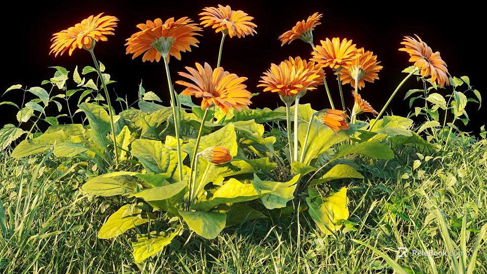Vibrant Orange Flowers with Lush Green Leaves Growing in Fresh Grass 3d model 