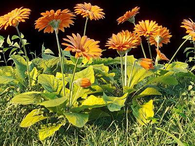 Vibrant Orange Flowers with Lush Green Leaves Growing in Fresh Grass 3d model