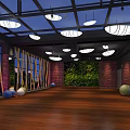 Spacious Fitness Studio With Colorful Exercise Balls Wooden Flooring Ceiling Lights And Green Plant Walls