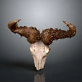 Artistic Ram Skull Sculpture With Intricate Carved Horns And Textured Details