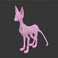 Pink Hairless Sphynx Cat with Large Ears Green Eyes and Pink Paws on Dark Background