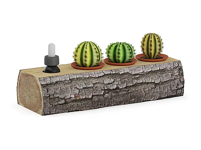 Natural Wooden Log Planter with Three Potted Cacti and Decorative Bottle 3d model