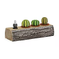 Natural Wooden Log Planter with Three Potted Cacti and Decorative Bottle