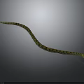 Yellow and Black Patterned Snake Slithering on Gray Background with Curved Body