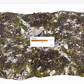 Natural Stone and Wood with Mossy Texture in Outdoor Natural Landscape