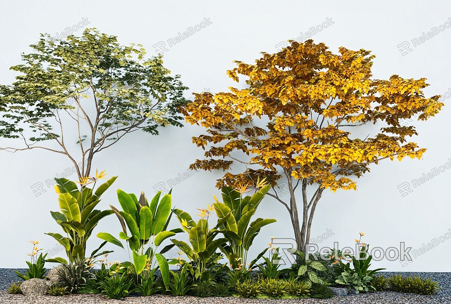 bird of paradise arbor modeling tree plant combination tropical plant green plant flowers and plants model