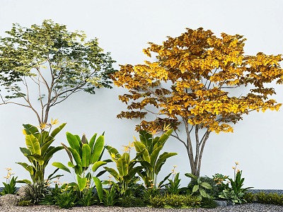 bird of paradise arbor modeling tree plant combination tropical plant green plant flowers and plants model