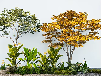 bird of paradise arbor modeling tree plant combination tropical plant green plant flowers and plants 3d model