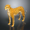 Realistic 3D Cheetah Model With Spotted Fur Standing On Dark Surface 3d model