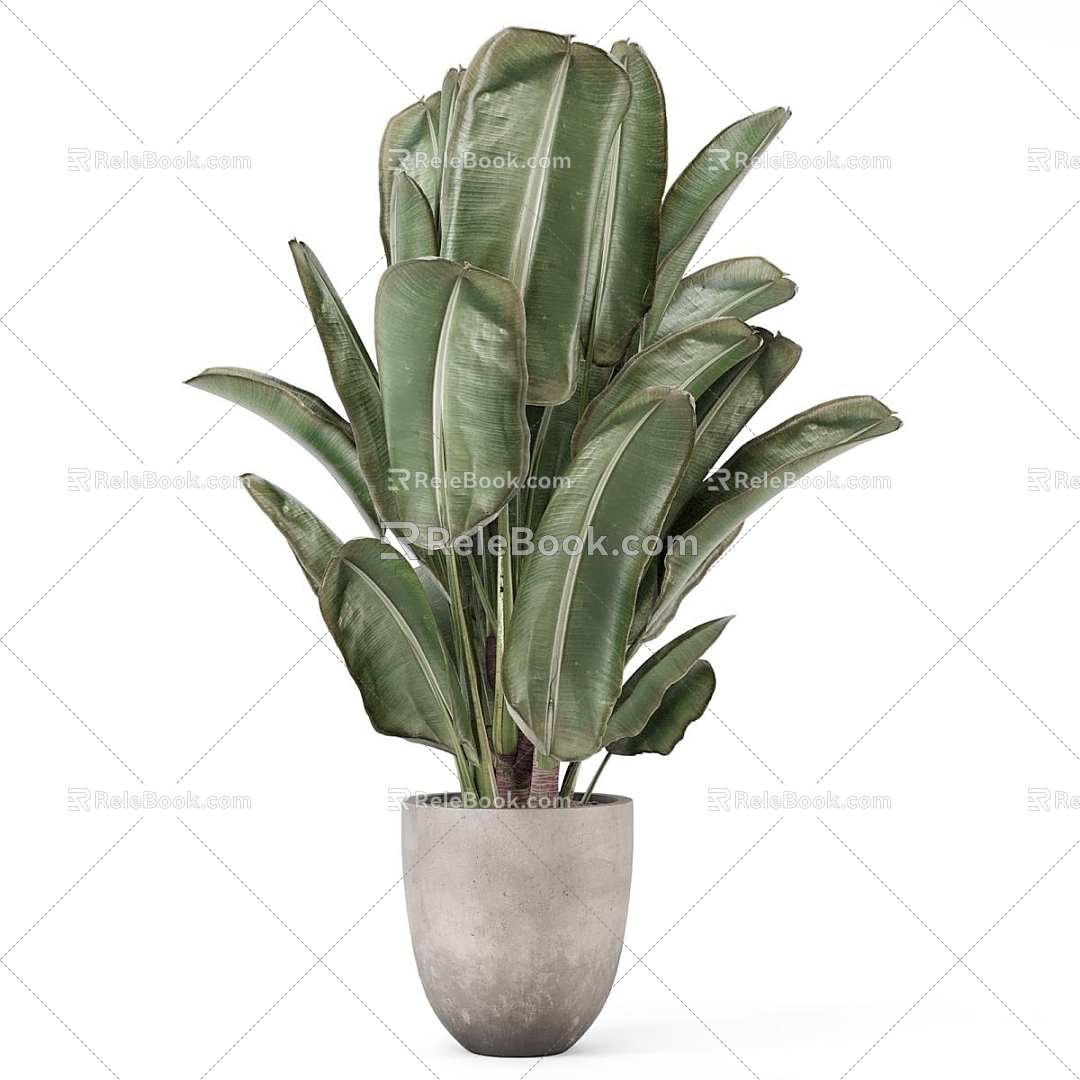 potted plant model