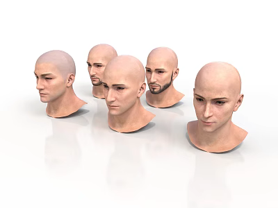 Male Head Models With Bald Heads And Various Facial Features 3d model