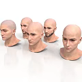 Male Head Models With Bald Heads And Various Facial Features