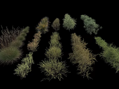 Collection of Various Green Shrubs With Diverse Shapes and Natural Foliage 3d model