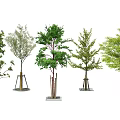 Various Tree Pit Designs With Green Leaf Trees And Urban Landscape Elements 3d model