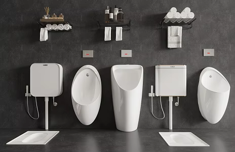 Modern Urinal Squat Toilet Towel Rack 3d model
