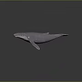 Purple Whale With White Spots 3D Model On Dark Reflective Background
