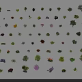 Diverse Collection Of Plants Including Trees Shrubs And Flowers For Landscaping