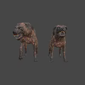 Fierce Zombie Dogs With Tattered Skin Red Eyes And Dark Background