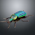 Metallic Blue Green Striped Beetle With Shiny Exoskeleton On Reflective Surface