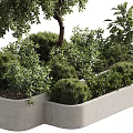 Concrete Planter With Tree And Various Lush Green Plants Arrangement