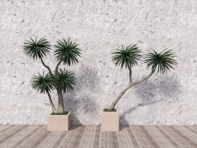 modern potted plant model