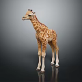 Standing Giraffe Model With Brown Spots On Gray Background And Reflection 3d model