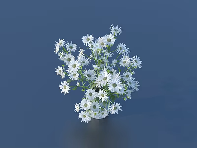 Elegant Potted Plant With White Small Flowers For Indoor Home Decoration 3d model