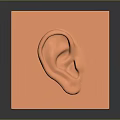 3D Sculpted Ear Shape Featured on Orange Square Minimalist Decorative Art Piece