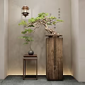 Traditional Chinese Bonsai Plant Display On Wooden Pedestal With Ceramic Vase And Small Table