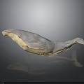 Realistic Light Gray Whale Sculpture Displayed On Dark Reflective Surface With Smooth Finish