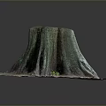 Small Green Plants Growing At The Base Of A Tree Stump On Ground